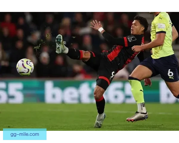 伯恩茅斯重金签下埃万尼尔森锋线升级英超新赛季进攻蓝图全面展开